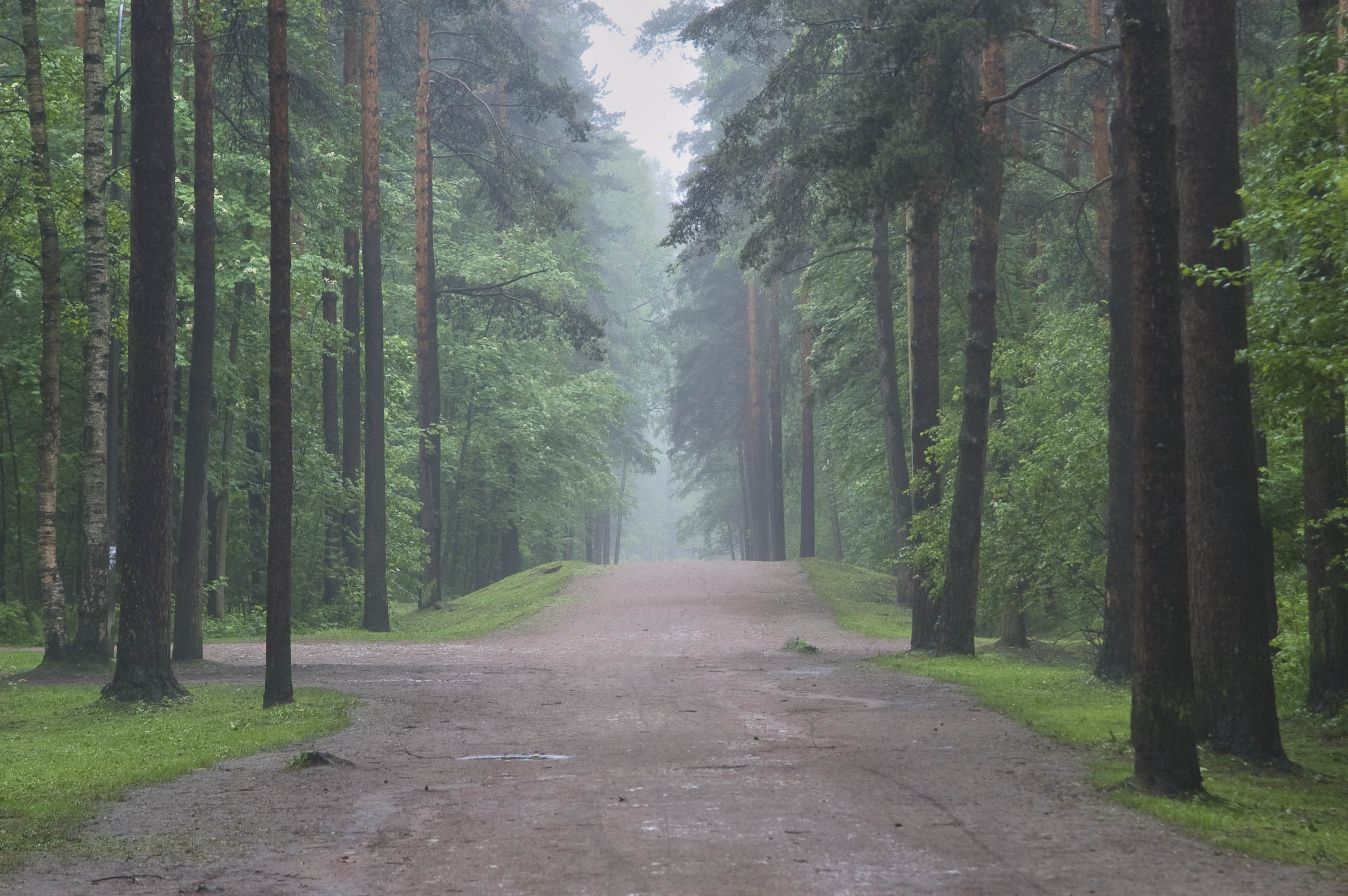 Парки и сады Петербурга